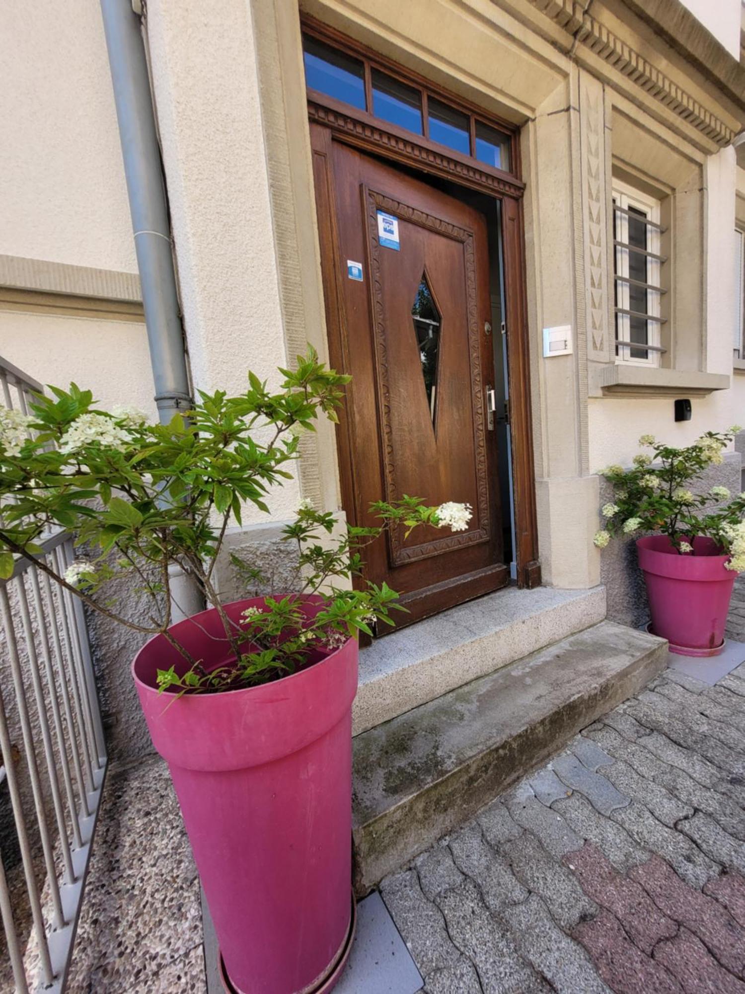 Le Cocon D'Emma, Terrasse, Jardin Et Elegance Dans Maison De Maitre Strasbourg Eksteriør billede